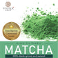 Organica Matcha Powder